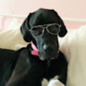 Meet your Posher, A.